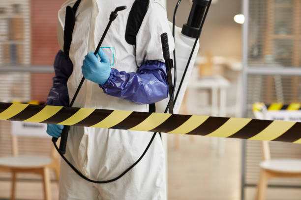 Professional Sewage Cleanup technician working in Essex, MD